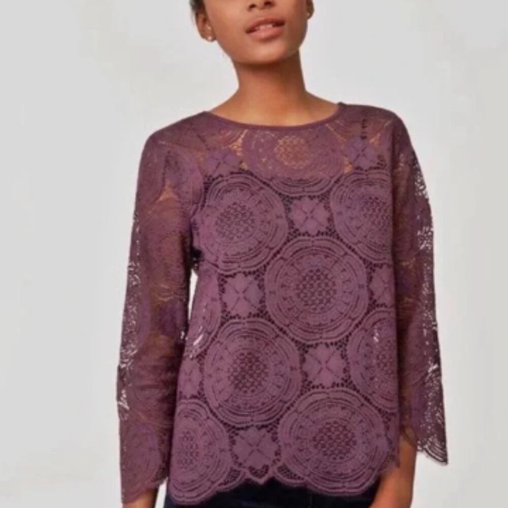 LOFT Lace Blouse with matching camisole